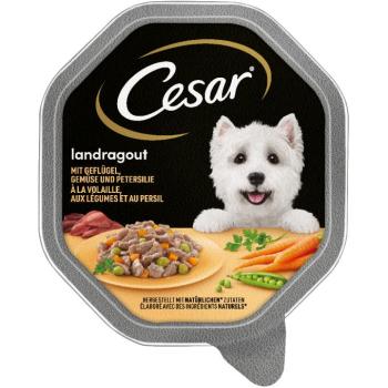 28x150g Cesar Vidéki ragu szárnyas, zöldség szószban nedves kutyatáp kép
