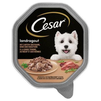 28x150g Cesar Vidéki ragu pulyka, marha & fűszernövények nedves kutyatáp kép