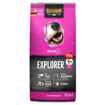 2x12,5kg Belcando Baseline Explorer száraz kutyatáp kép