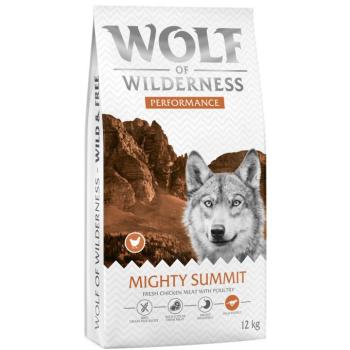 2x12g Wolf of Wilderness "Explore The Mighty Summit" - Performance száraz kutyatáp