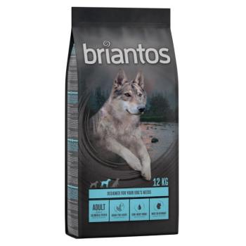 2x12kg Briantos gabonamentes száraz kutyatáp- Adult Lazac & burgonya kép