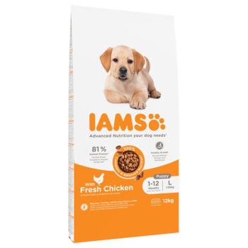 2x12kg IAMS Advanced Nutrition Puppy Large csirke száraz kutyatáp kép