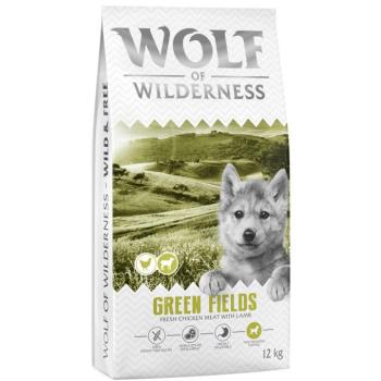 2x12kg Little Wolf of Wilderness Junior 'Green Fields' bárány - gabonamentes száraz kutyatáp kép