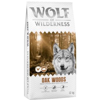 2x12kg Wolf of Wilderness Adult "Oak Woods" - vaddisznó gabonamentes száraz kutyatáp kép