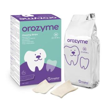 2x141g Orozyme Strips fogápoló snack Közepes méretű kutyáknak kutyáknak kép