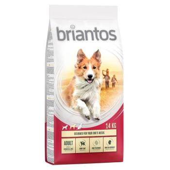 2x14kg Briantos Adult csirke & rizs száraz kutyatáp kép