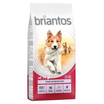 2x14kg Briantos Adult lazac & rizs száraz kutyatáp kép