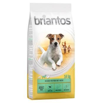 2x14kg Briantos Adult Mini bárány & rizs száraz kutyatáp kép