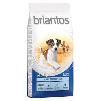 2x14kg Briantos Junior csirke & rizs -száraz kutyatáp kép