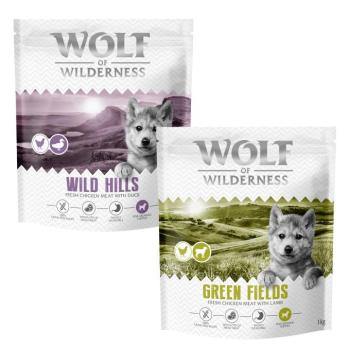 2x1kg Wolf of Wilderness Junior száraz kutyatáp vegyes próbacsomag - Mix I: bárány & kacsa (új recept) kép