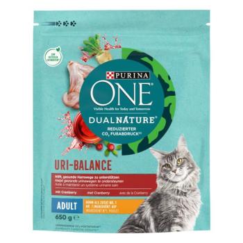 2x650g PURINA ONE Dual Nature Adult csirke & áfonya száraz macskatáp kép
