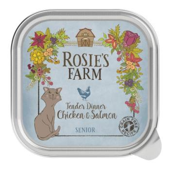32x100g Rosie's Farm Senior nedves macskatáp- Senior: csirke & lazac kép