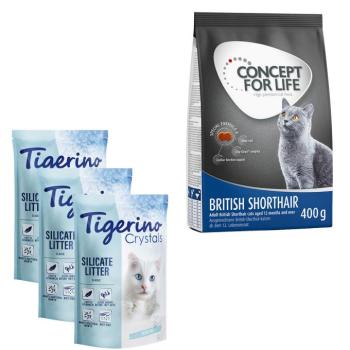 3x5l Tigerino macskaalom + 400g Concept for Life British Shorthair Adult száraz macskatáp