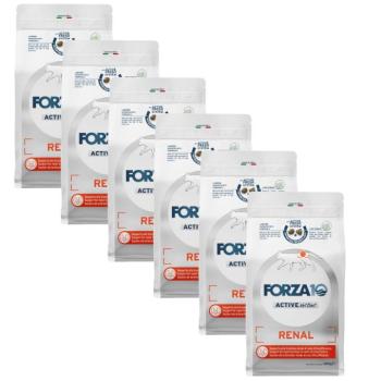 4,8kg Forza10 Active Vet Diet Renal Fish száraz macskatáp kép