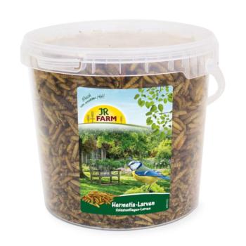 400g JR Farm fekete katonalégy lárvák vödörben, madáreledel kép