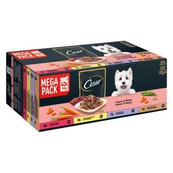 40x100g Cesar Feines tasakos favoritok szószban nedves kutyatáp kép
