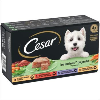 48x150g Cesar kerti terrine nedves kutyatáp vegyesen kép