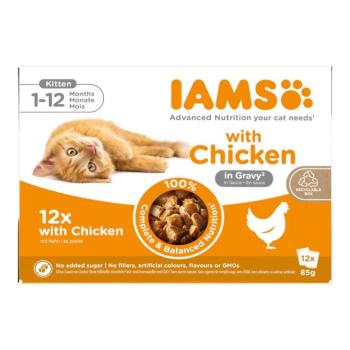 48x85 g IAMS Advanced Nutrition Kitten csirke szószban nedves macskatáp 36+12 ingyen
