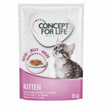 48x85g Concept for Life Kitten csirke aszpikban nedves macskatáp kép