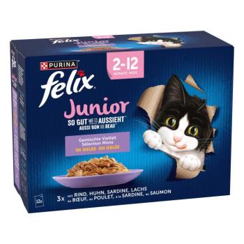 48x85g Felix Fantastich Junior vegyes csomag nedves macskatáp 3+1 ingyen kép