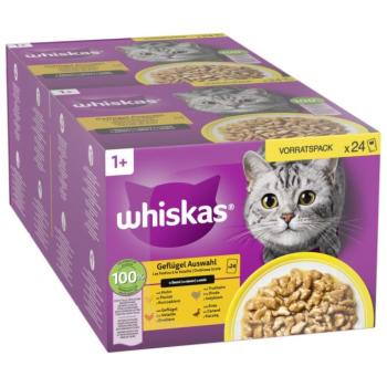48x85g Whiskas 1+ szárnyasválogatás szószban nedves macskatáp kép