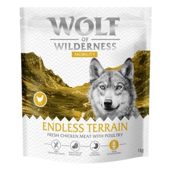 4x1kg Mobility joints Wolf of Wilderness száraz kutyatáp kép