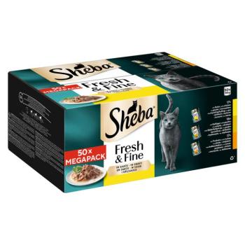 50x50g Sheba Fresh & Fine Csirke, szárnyas és pulyka szószban nedves macskatáp kép