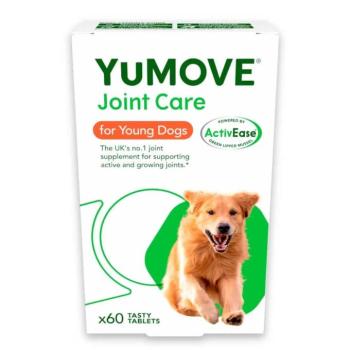 60 tabletta YuMOVE Joint Care Young Dogs étrend-kiegészítő kutyáknak kép