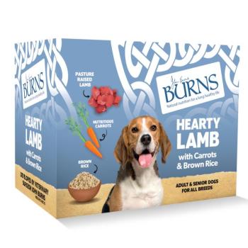 6x135g Burns bárány, zöldség & barna rizs nedves kutyatáp kép