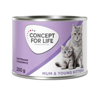 6x200g Concept for Life Mum & Young Kittens Mousse nedves konzerv macskatáp kiscicáknak új receptúrával kép