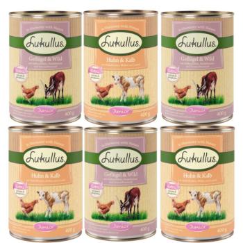 6x400g Lukullus Naturkost Junior nedves kutyatáp 2 változattal kép