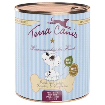 6x800g Terra Canis Puppy Menu marha, alma & csipkebogyó nedves kutyatáp kép