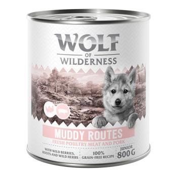 6x800g Wolf of Wilderness Junior “Expedition” nedves kutyatáp - Muddy Routes - Szárnyas sertéssel kép
