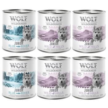 6x800g Wolf of Wilderness JUNIOR - Vegyes csomag nedves kutyatáp kép