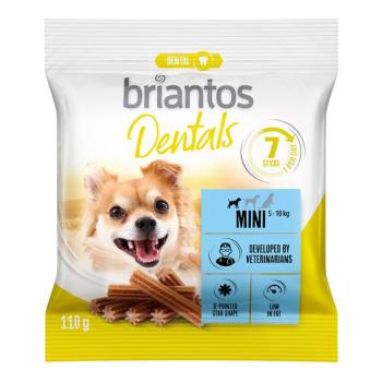 7db Briantos Dental Mini snack kutyáknak kép