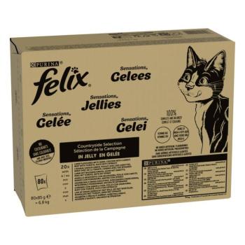 80x85g Felix Sensations vidéki válogatás nedves macskatáp kép