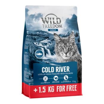 8kg Wild Freedom Adult "Cold River" lazac száraz macskatáp új receptúrával 1,5kg ingyen