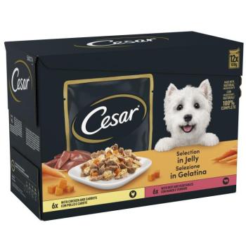 96x100g Cesar Feines Selection aszpikban nedves kutyatáp kép