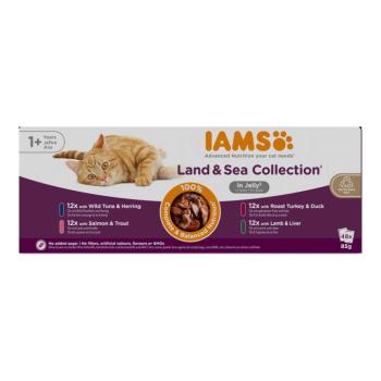 96x85g IAMS Advanced Nutrition Adult Land & Sea Mix aszpikban nedves macskatáp