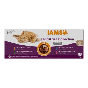 96x85g IAMS Advanced Nutrition Adult Land & Sea Mix szószban nedves macskatáp kép