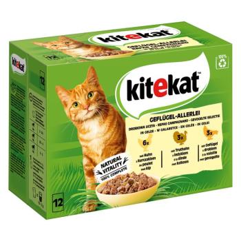 96x85g Kitekat Szárnyasválogatás aszpikban nedves macskatáp kép