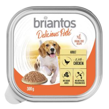 9x300g Briantos Delicious Paté Pulyka tálcás nedves kutyatáp kép