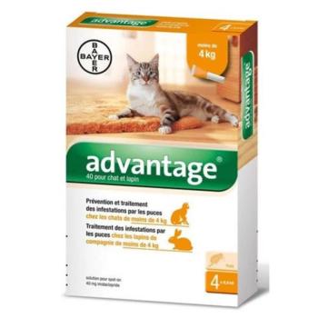 Advantage Spot-on Cat 0,4 ml (4 kg-ig) 4x kép