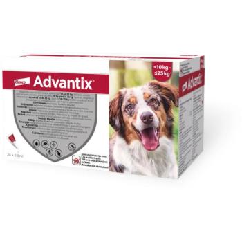 Advantix Spot On 10-25 kg 4x2,5 ml kép