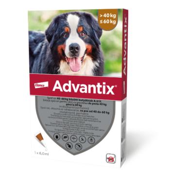 Advantix spot on 6 ml; 40-60 kg 1X kép