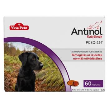 Antinol takarmánykiegészítő kapszula kutyáknak 60 db
