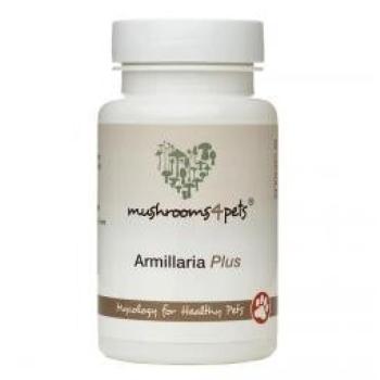 Armillaria Plus (500 mg) 60 db kép