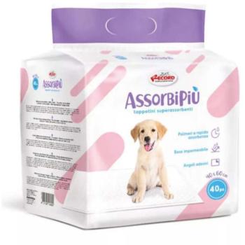 AssorbiPiu Kutyapelenka 60x40 40 db kép