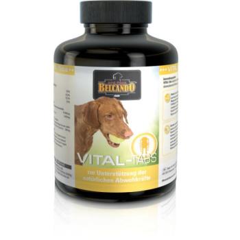 BELCANDO Vital tabletta 60 db