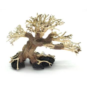 Bonsai Driftwood 20 x 15 x 16 cm No.28 kép